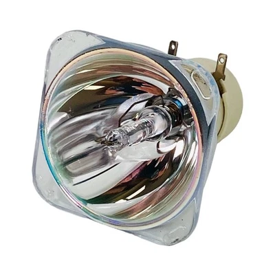 Genuine Philips Projector Lamp Bulb For Optoma DW326 DW339 DW343 DX229 OEM - Image 1 of 4