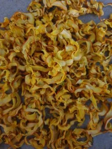 Hokkaido calabaza chips camarones, bagrejos, alimento para peces 50-100 g BIO nueva cosecha 22 - Imagen 1 de 1