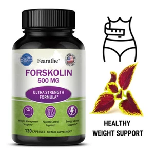Forskolin 500mg Max Strength - Weight Loss, Belly Fat Burner Slim Trim Lose - Picture 1 of 12