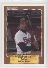 1990 ProCards Minor League Steve Carter #385