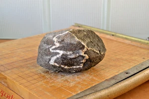 3.2 lb Banded Gneiss Metamorphic Rock Rough Cabbing Slab Display Mesabi Range MN - Picture 1 of 8