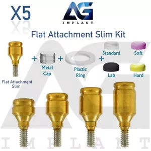 Kit de 5 accesorios planos titanio plataforma delgada sistema protésico hexagonal interior 2,0 mm - Imagen 1 de 5