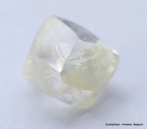 DIAMANTE BLANCO LIMPIO EN BRUTO ALTO VALOR ALTA CALIDAD H DIAMANTE NATURAL IMPECABLE .55 - Imagen 1 de 8