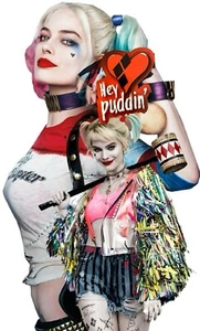 Harley Quinn Comic Vinyl Decal Sticker NEW - Foto 1 di 2