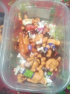 WWE WWF HASBRO ACTION FIGURE BUILD YOUR OWN LOT OF HASBRO FIGURES NO ACCESSORIES - Picture 1 of 9