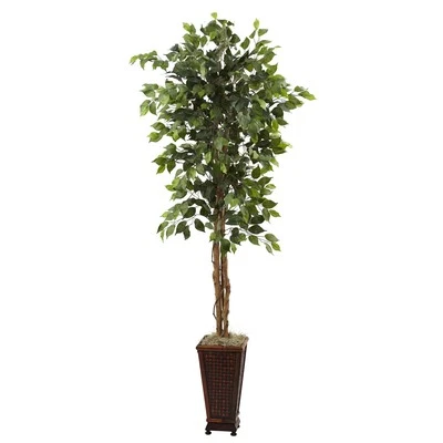 Casi natural 6,5 pies. Ficus con maceta decorativa Foto 1 de 3