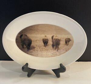 L A Huffman Westernware Rustic Oval Buffalo Photo Plate “American Bison Running”