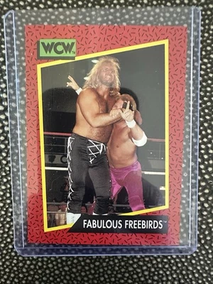 WCW WORLD CHAMPIONSHIP WRESTLING 1991 TRADING CARD # 123 FABULOUS FREEBIRDS 🔥 - Image 1 of 2