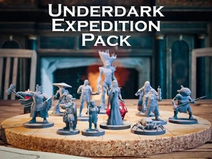 Underdark Expedition Pack | 11 Miniatures Starter Set | DnD D&D Tabletop Minis - Bild 1 von 10