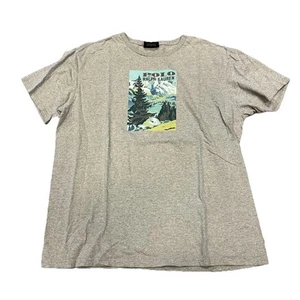 MAGLIETTA POLO SPORT RALPH LAUREN GRIGIA VINTAGE ANNI 90 TAGLIA L CACCIA SPORTIVA (87) - Foto 1 di 5