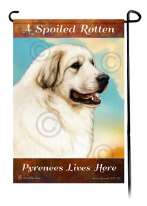 A Spoiled Rotten Pyrenees Lives Here - Picture 1 of 1