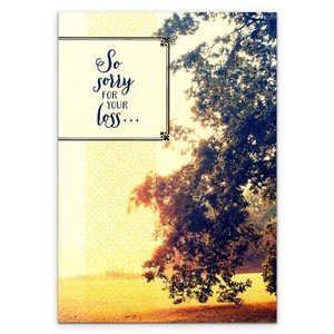Comforting SYMPATHY Card So Sorry For Your Loss by Designer Greetings + Envelope - Picture 1 of 5