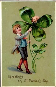 St Patrick Tucks 106 Junge mit Glücksschwein Kleeblatt USA Brundage um 1908 Postkarte AP6 - Bild 1 von 2