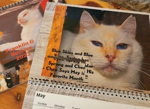 MISPRINTED   Scoot & Newts Present  The 2023 Franklin  & Butters Photo Calendar - Picture 1 of 1