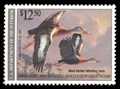 RW57 — 1990 Black-bellied whistling duck, Superb 98, PSE Certificate - Image 1 of 2