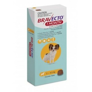 bravecto small