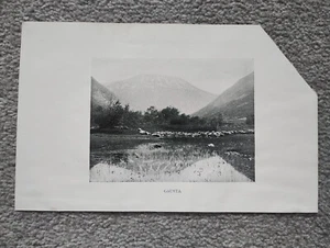 Gausta, Norway - Antique Print - 1896 - Picture 1 of 1
