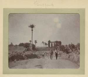 Chypre. Famagouste. Citrate circa 1900. - Imagen 1 de 1