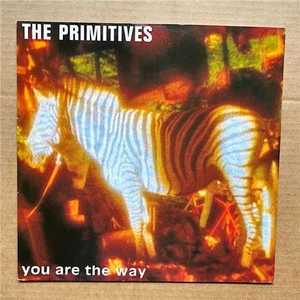 PRIMITIVES YOU ARE THE WAY 12" 1991 mit dem September Remix + Sunpulse + in meinem - Bild 1 von 3