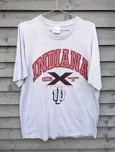 Indiana CXT Training Herren XL 90s Vintage T-Shirt Grau Streifen Einzelnaht Savvy - Bild 1 von 15