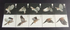 GB 2003 Birds of Prey Barn Owl Kestrel SG2327/36 MNH UM unmounted mint - Imagen 1 de 1
