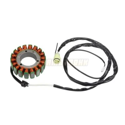 Bobina de estator Magneto para Kawasaki ZX1200 Ninja ZX12R ZX-12R 2000-2001 21003-0010 Foto 1 de 4