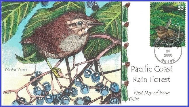 USA8 #3378f U/A COLLINS HAND PAINTED FDC   Winter Wren Pacific Coast Rain Forest - Image 1 of 1