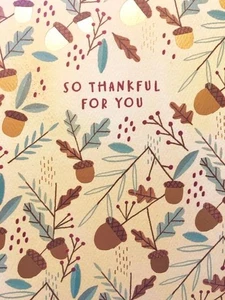 "So Thankful for You" [blank inside] THANKSGIVING CARD American Greetings ACORNS - Picture 1 of 1