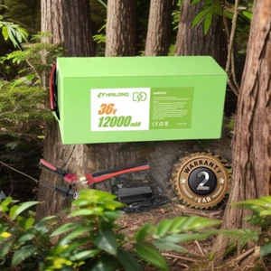 Green 36v 12ah li-ion battery EBike Li-ion Battery for E Bicycle Battery - Picture 1 of 8