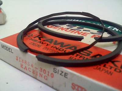 ANILLOS DE PISTÓN T1A290F1 DE LA KAWASAKI ARCTIC CAT 1971 EXT SPECIAL KING KAT 290 3000-310 Foto 1 de 4