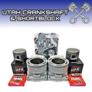 Polaris 800 Big Block VES Cylinders HPR Pistons Gaskets 2002 RMK Early Prod - Picture 1 of 2