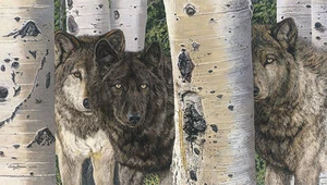 Judy Larson BROTHERS & SISTERS giclee canvas Wolves #149/150 - Imagen 1 de 1