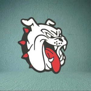PARCHE BORDADO GRANDE 10" ANGRY BULLDOG PERRO LOCO espalda completa chaqueta talla - Imagen 1 de 9