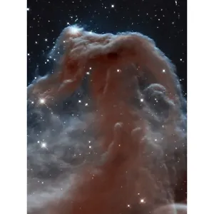 Hubble Space Telescope Horsehead Nebula In Orion Constellation Canvas Poster Art - Picture 1 of 6