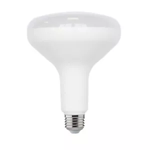 EcoSmart 75-Watt Equivalent BR40 Dimmable LED Light Bulb Soft White (2-Pack) - Picture 1 of 1