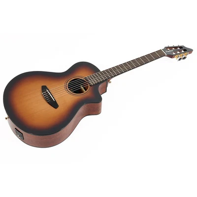 Концертная нейлоновая струнная классическая гитара Breedlove Solo Pro A/E EB 197881359911 OB - Изображение 1 из 4