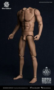 WorldBox1/6 Wide Shoulder Muscle Body 12'' Male Figure Fit Long Neck Head Toys - Picture 1 of 10