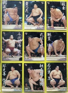 2002 BBM Grand Sumo Trading Cards - RARE Complete set of 132 - Asashoryu, Takanohana - Bild 1 von 3