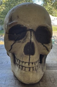 Skull Realistic Styrofoam Head Halloween - Monster 6.5"×7.5" ×6" - Picture 1 of 7