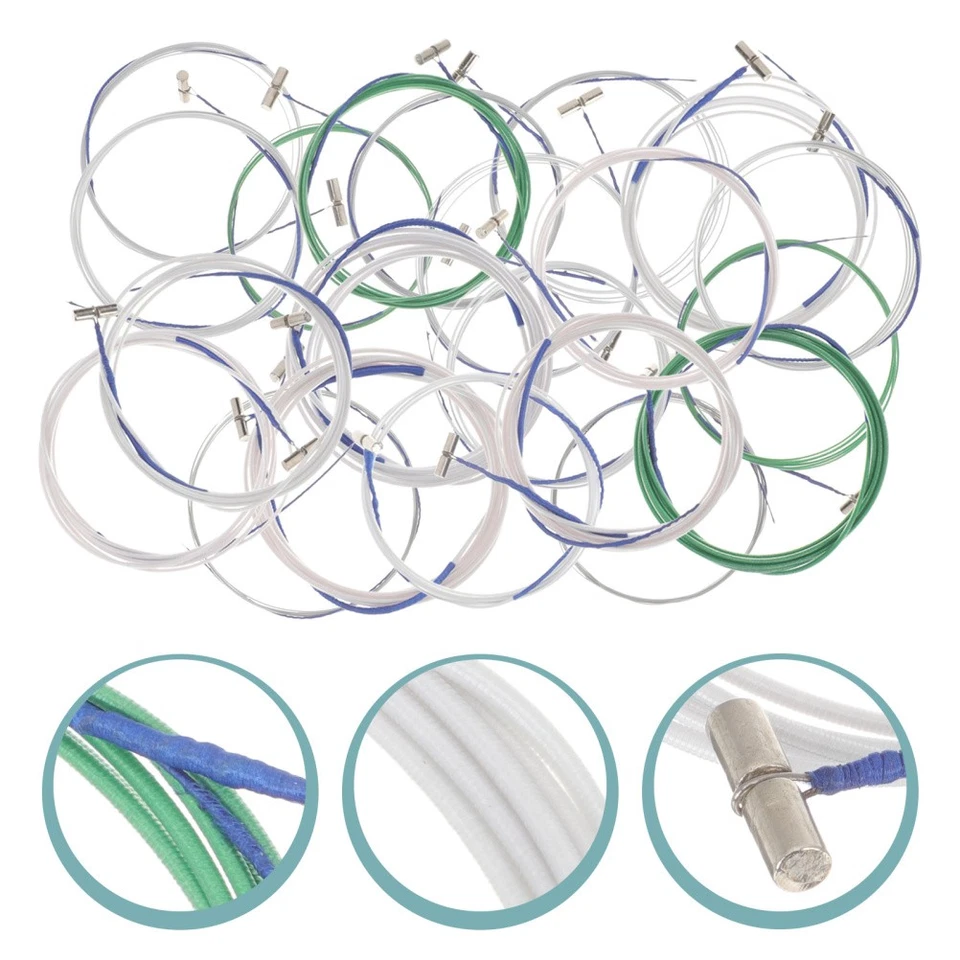 21pcs Cinese Musical Strument Guzheng String Accessori cinesi Guzheng - Image 1 of 4