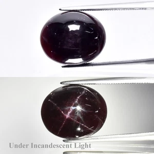 ๐ 9.87ct Oval Natural Dark Reddish Purple 4 Ray Star Rhodolite Garnet - Gem - Picture 1 of 6