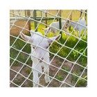 Sicherheitsnetz Balkon Kinder 1.5 X 3 M,Schutznetz Hochbett Seilnetz Rausfall...
