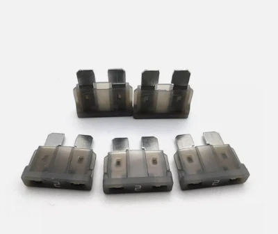 2Amp Standard Fuse 12V 24V 32V Blade Fuse for Car Truck Auto RV 10PCS - Image 1 of 3