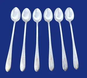 International MEADOW FLOWER Silverplate 1940 - Set di 6 cucchiaini da tè ghiacciati 7 3/4" - Foto 1 di 1