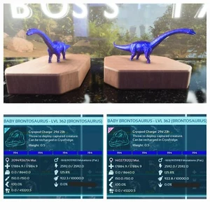 BABY PAIR BRONTO VARIOUS COLORS - Picture 1 of 7