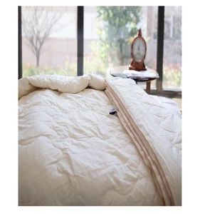 NIP Enchante Home Luxury Ivory 100% Wool Fill Queen Comforter - Picture 1 of 8