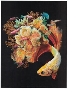 Lisa Ericson "Bloom" image: Frame it - Picture 1 of 2