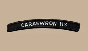 US Navy VAW-113 Black Eagles Carrier Airborne Early Warning Squad UIM Tab (05) - Picture 1 of 1