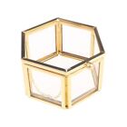 Jewelry Organize Holder Tabletop Succulent Container Home Jewelry Storage