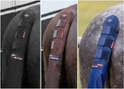 LeMieux Tail Guard + Detachable Waterproof Bag Travel Protect Black/Brown/Navy